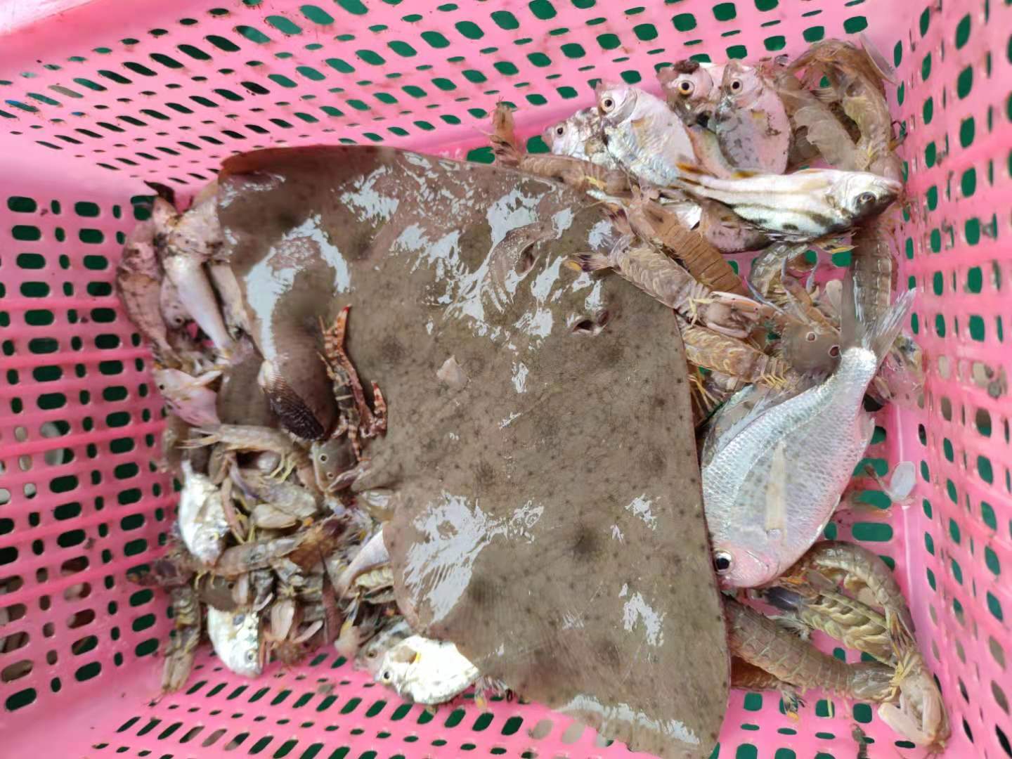 1630661524326336.jpg 1630661524326336.jpg